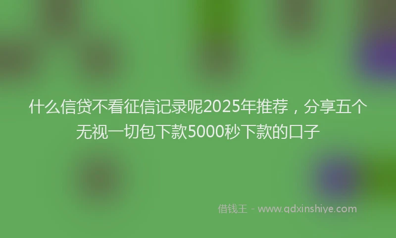 什么信贷不看征信记录呢2025年推荐，分享五个无视一切包下款5000秒下款的口子