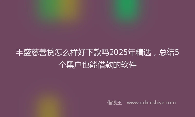 丰盛慈善贷怎么样好下款吗2025年精选，总结5个黑户也能借款的软件