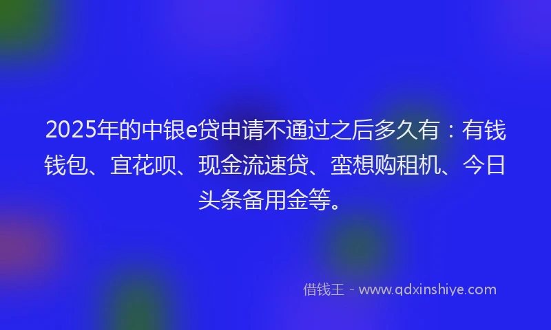 2025年的中银e贷申请不通过之后多久有：有钱钱包、宜花呗、现金流速贷、蛮想购租机、今日头条备用金等。
