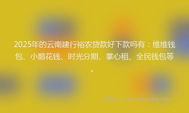 2025年的云南建行裕农贷款好下款吗有：维维钱包、小鹅花钱、时光分期、掌心租、全民钱包等。