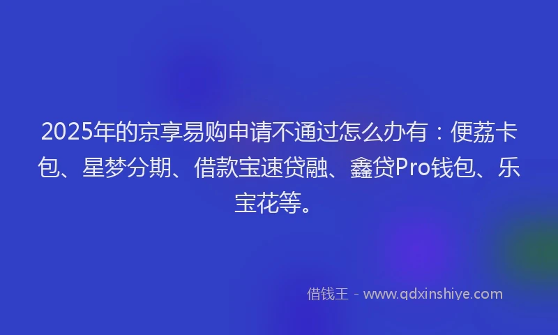 2025年的京享易购申请不通过怎么办有：便荔卡包、星梦分期、借款宝速贷融、鑫贷Pro钱包、乐宝花等。