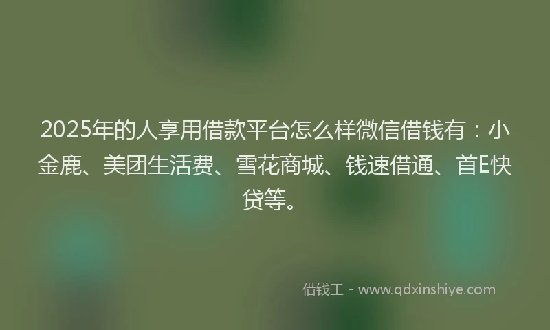 2025年的人享用借款平台怎么样微信借钱有：小金鹿、美团生活费、雪花商城、钱速借通、首E快贷等。