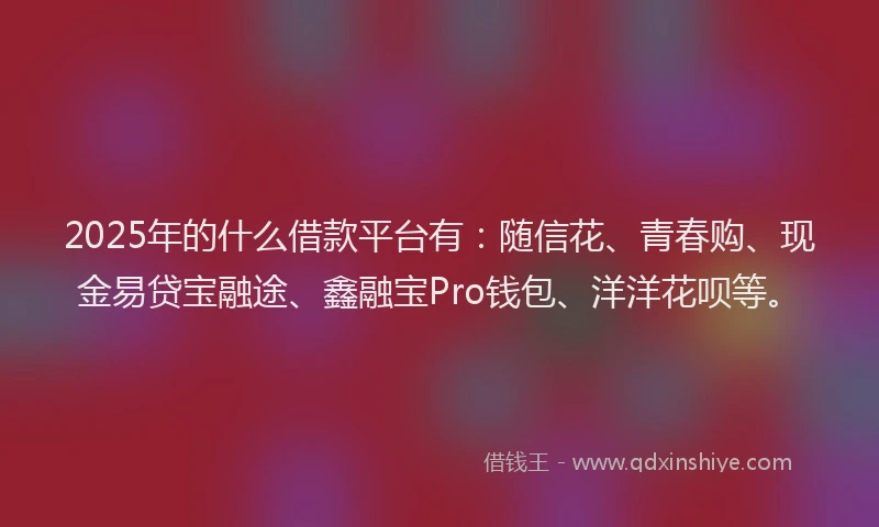 2025年的什么借款平台有：随信花、青春购、现金易贷宝融途、鑫融宝Pro钱包、洋洋花呗等。