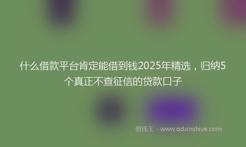 什么借款平台肯定能借到钱2025年精选,归纳5个真正不查征信的贷款口子