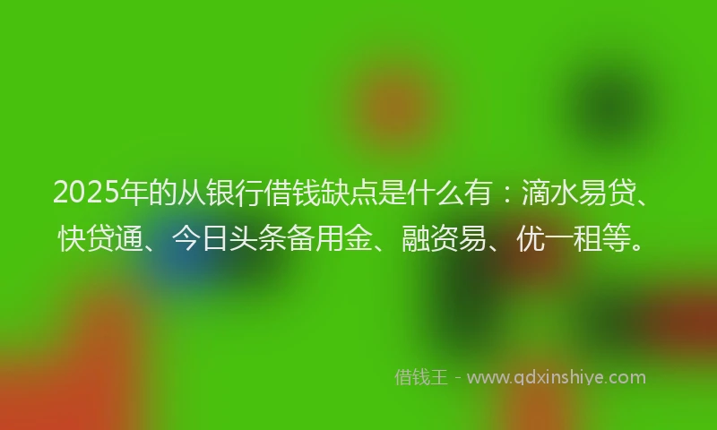 2025年的从银行借钱缺点是什么有：滴水易贷、快贷通、今日头条备用金、融资易、优一租等。