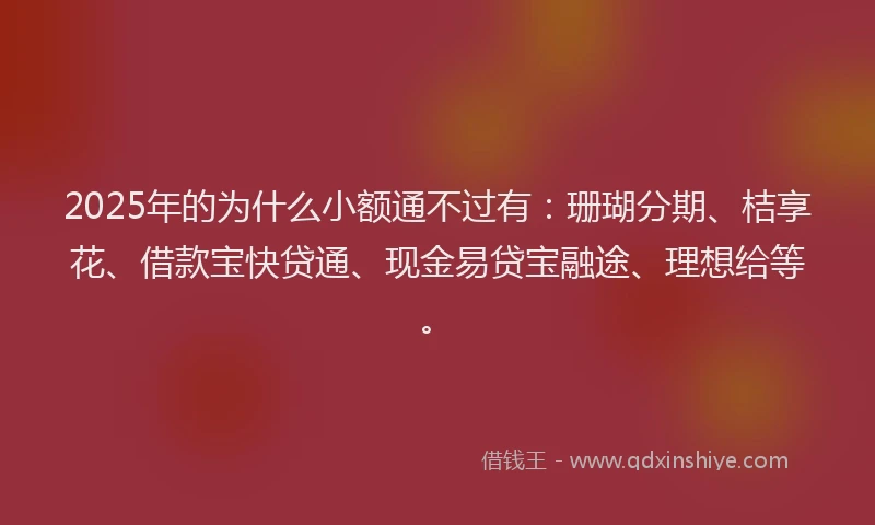 2025年的为什么小额通不过有：珊瑚分期、桔享花、借款宝快贷通、现金易贷宝融途、理想给等。