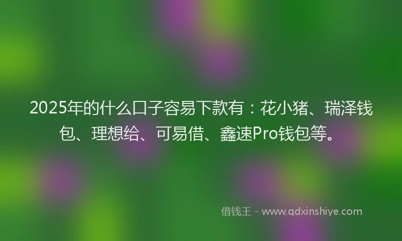 2025年的什么口子容易下款有:花小猪、瑞泽钱包、理想给、可易借、鑫速Pro钱包等。