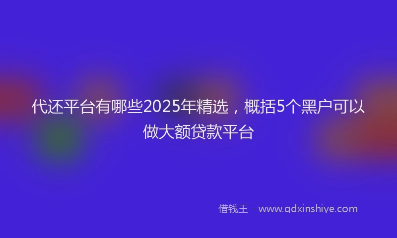 代还平台有哪些2025年精选，概括5个黑户可以做大额贷款平台