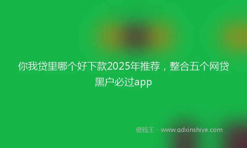你我贷里哪个好下款2025年推荐，整合五个网贷黑户必过app
