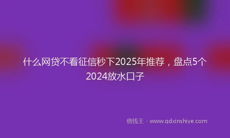 什么网贷不看征信秒下2025年推荐，盘点5个2024放水口子