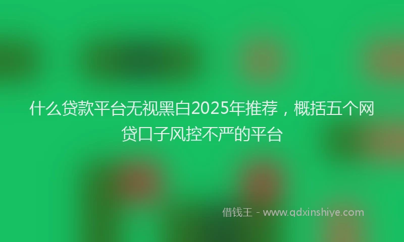 什么贷款平台无视黑白2025年推荐，概括五个网贷口子风控不严的平台
