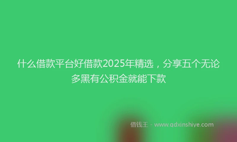 什么借款平台好借款2025年精选，分享五个无论多黑有公积金就能下款