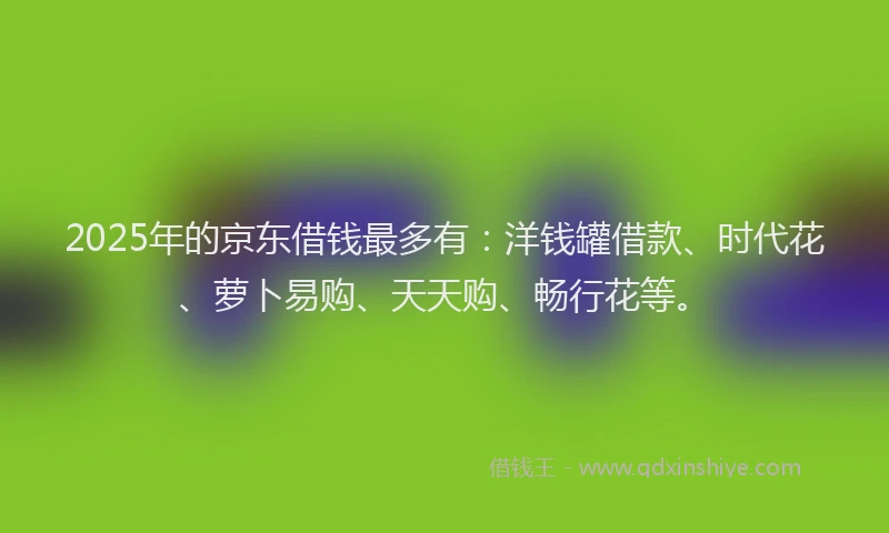 2025年的京东借钱最多有：洋钱罐借款、时代花、萝卜易购、天天购、畅行花等。