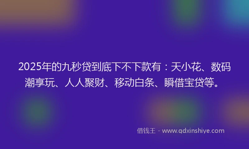 2025年的九秒贷到底下不下款有：天小花、数码潮享玩、人人聚财、移动白条、瞬借宝贷等。
