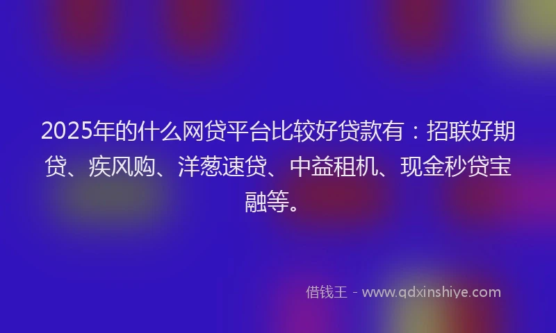 2025年的什么网贷平台比较好贷款有：招联好期贷、疾风购、洋葱速贷、中益租机、现金秒贷宝融等。