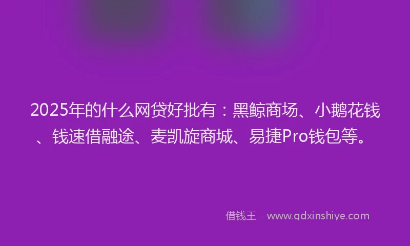 2025年的什么网贷好批有：黑鲸商场、小鹅花钱、钱速借融途、麦凯旋商城、易捷Pro钱包等。