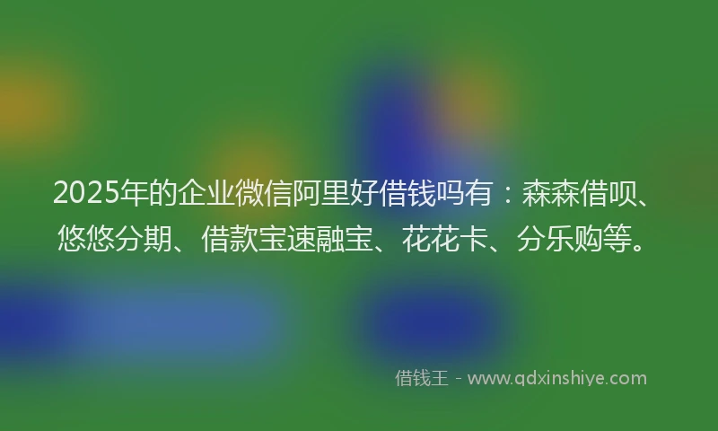 2025年的企业微信阿里好借钱吗有：森森借呗、悠悠分期、借款宝速融宝、花花卡、分乐购等。