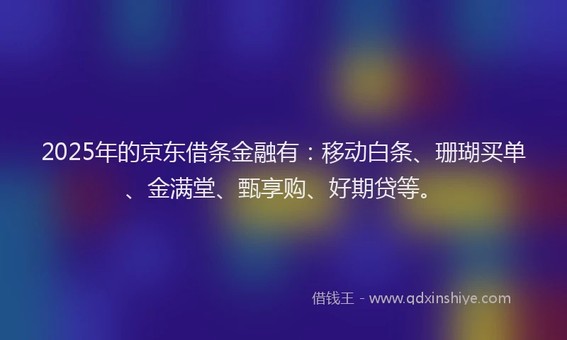 2025年的京东借条金融有：移动白条、珊瑚买单、金满堂、甄享购、好期贷等。