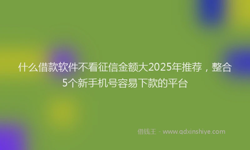 什么借款软件不看征信金额大2025年推荐,整合5个新手机号容易下款的平台