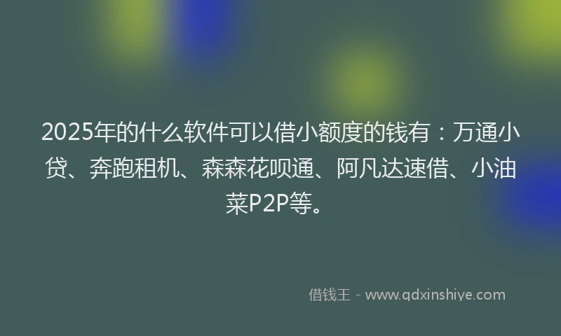 2025年的什么软件可以借小额度的钱有：万通小贷、奔跑租机、森森花呗通、阿凡达速借、小油菜P2P等。