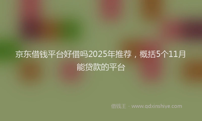 京东借钱平台好借吗2025年推荐，概括5个11月能贷款的平台