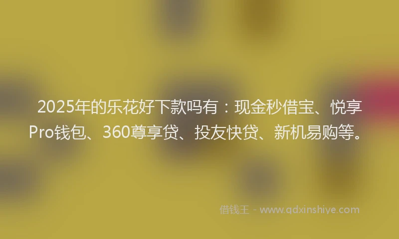 2025年的乐花好下款吗有：现金秒借宝、悦享Pro钱包、360尊享贷、投友快贷、新机易购等。