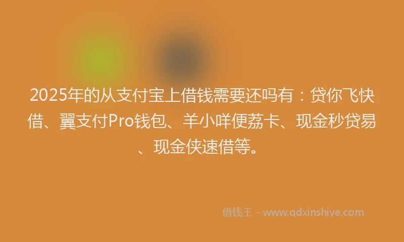 2025年的从支付宝上借钱需要还吗有：贷你飞快借、翼支付Pro钱包、羊小咩便荔卡、现金秒贷易、现金侠速借等。