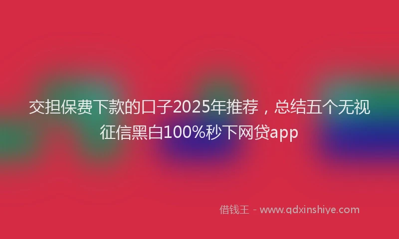 交担保费下款的口子2025年推荐，总结五个无视征信黑白100%秒下网贷app