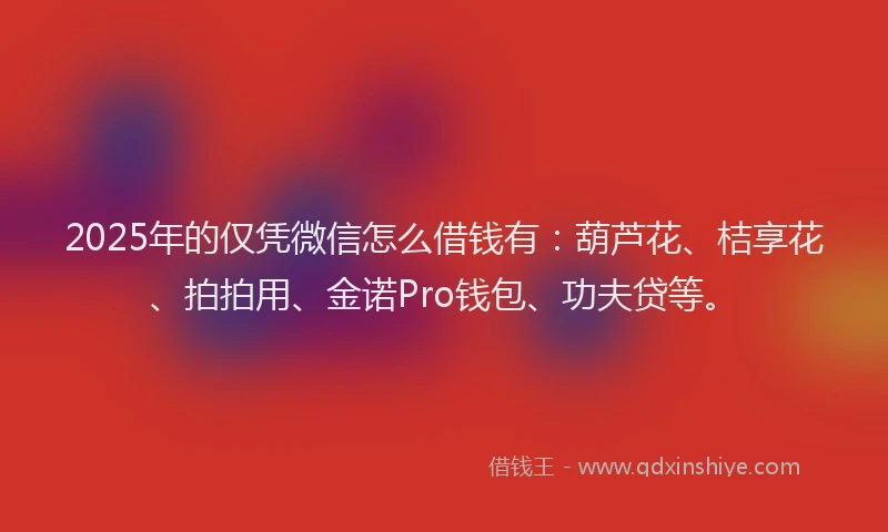 2025年的仅凭微信怎么借钱有：葫芦花、桔享花、拍拍用、金诺Pro钱包、功夫贷等。