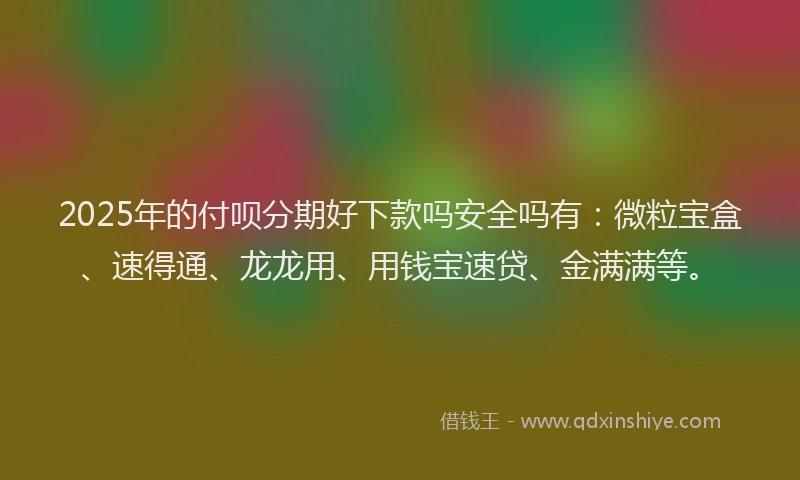 2025年的付呗分期好下款吗安全吗有：微粒宝盒、速得通、龙龙用、用钱宝速贷、金满满等。