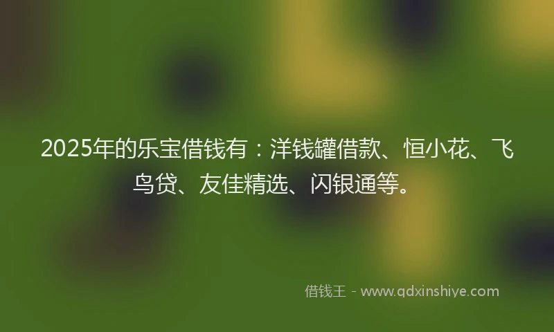 2025年的乐宝借钱有：洋钱罐借款、恒小花、飞鸟贷、友佳精选、闪银通等。
