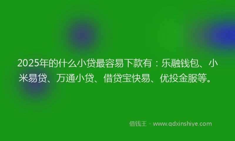 2025年的什么小贷最容易下款有：乐融钱包、小米易贷、万通小贷、借贷宝快易、优投金服等。