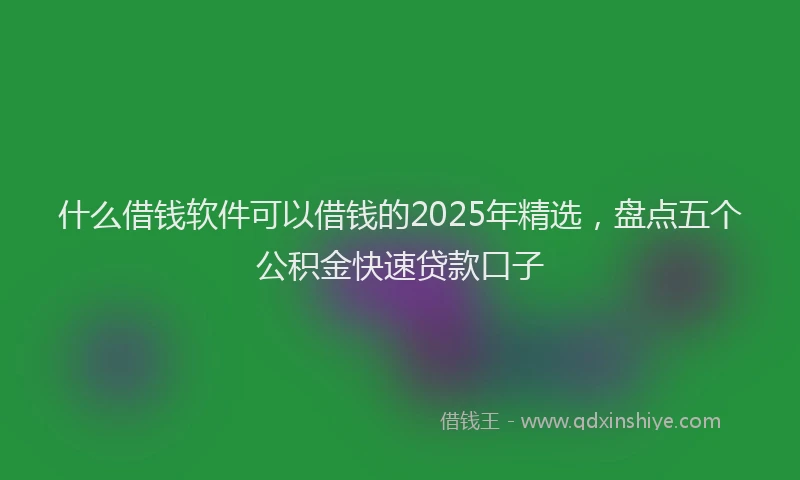 什么借钱软件可以借钱的2025年精选,盘点五个公积金快速贷款口子
