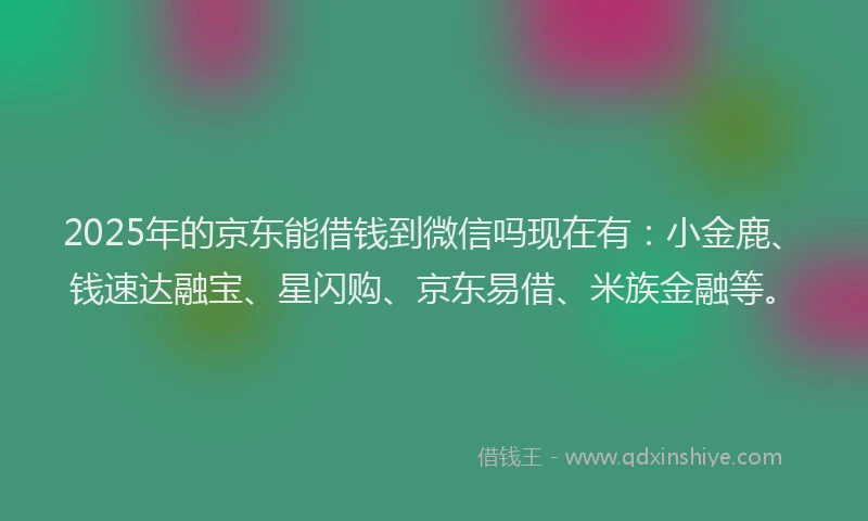 2025年的京东能借钱到微信吗现在有：小金鹿、钱速达融宝、星闪购、京东易借、米族金融等。