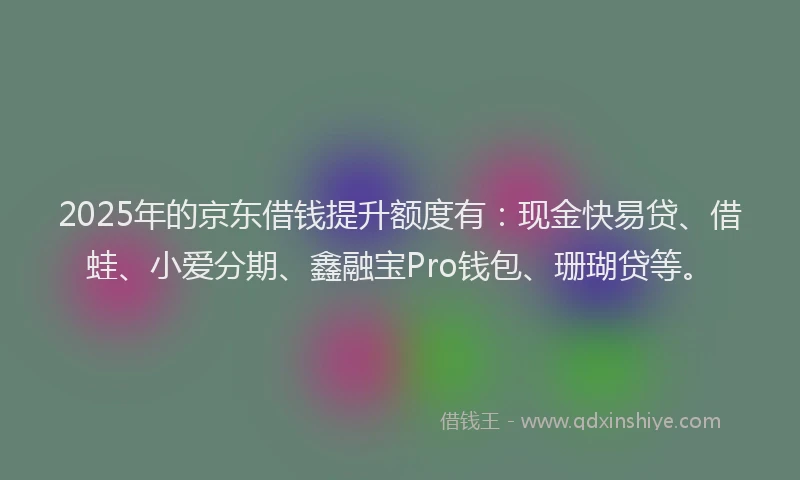 2025年的京东借钱提升额度有：现金快易贷、借蛙、小爱分期、鑫融宝Pro钱包、珊瑚贷等。