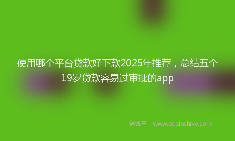使用哪个平台贷款好下款2025年推荐，总结五个19岁贷款容易过审批的app