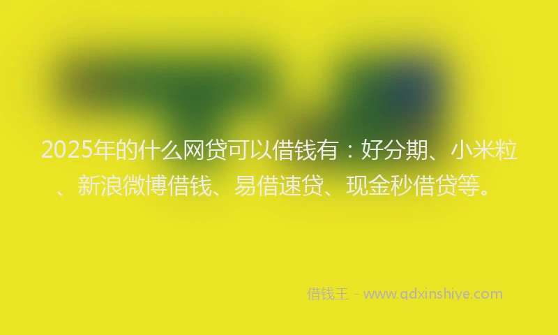 2025年的什么网贷可以借钱有：好分期、小米粒、新浪微博借钱、易借速贷、现金秒借贷等。
