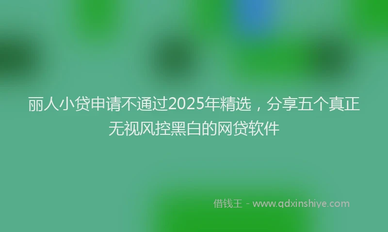 丽人小贷申请不通过2025年精选，分享五个真正无视风控黑白的网贷软件