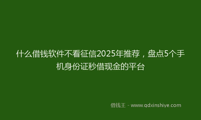 什么借钱软件不看征信2025年推荐，盘点5个手机身份证秒借现金的平台