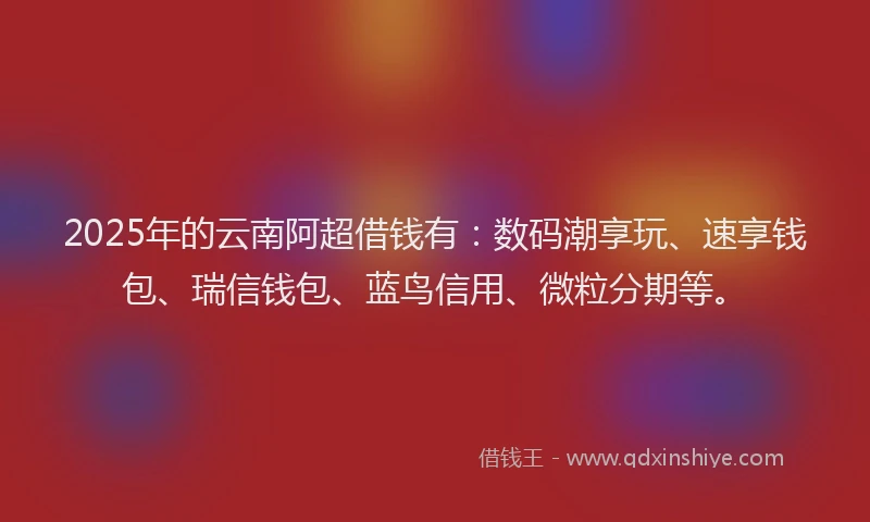 2025年的云南阿超借钱有：数码潮享玩、速享钱包、瑞信钱包、蓝鸟信用、微粒分期等。
