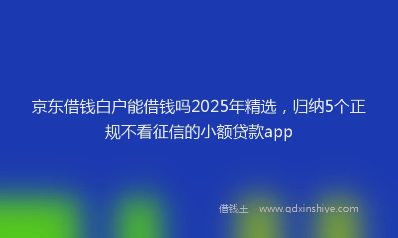 京东借钱白户能借钱吗2025年精选，归纳5个正规不看征信的小额贷款app