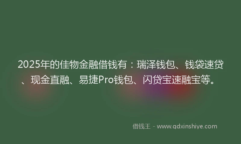2025年的佳物金融借钱有：瑞泽钱包、钱袋速贷、现金直融、易捷Pro钱包、闪贷宝速融宝等。