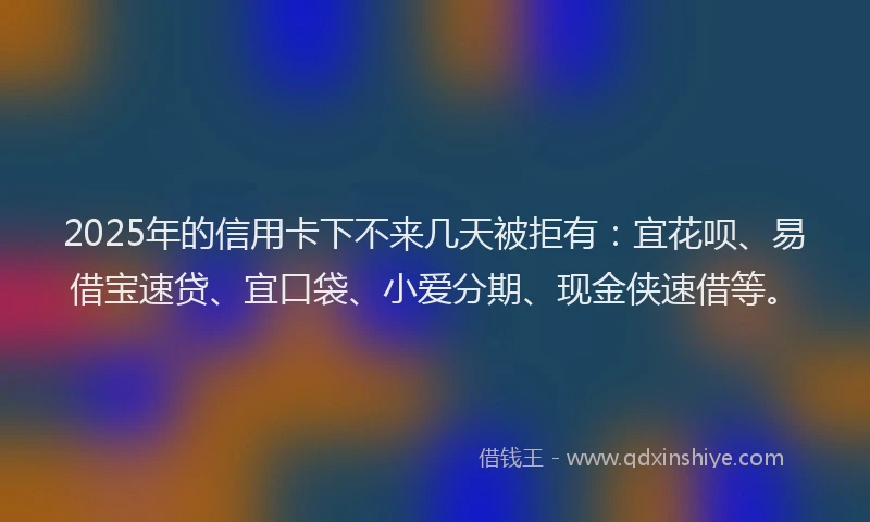 2025年的信用卡下不来几天被拒有：宜花呗、易借宝速贷、宜口袋、小爱分期、现金侠速借等。
