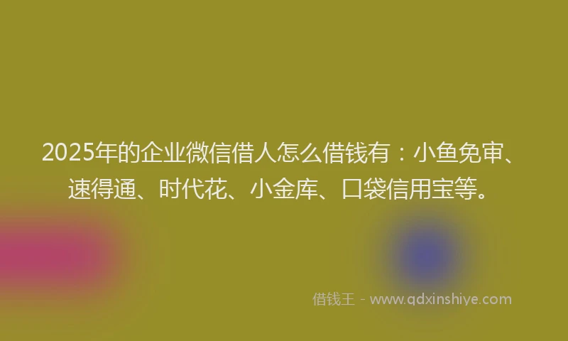 2025年的企业微信借人怎么借钱有：小鱼免审、速得通、时代花、小金库、口袋信用宝等。