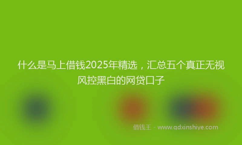 什么是马上借钱2025年精选，汇总五个真正无视风控黑白的网贷口子