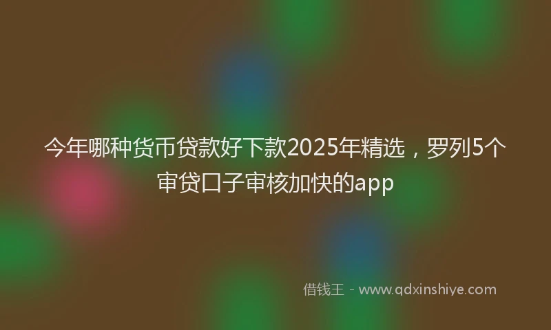 今年哪种货币贷款好下款2025年精选，罗列5个审贷口子审核加快的app