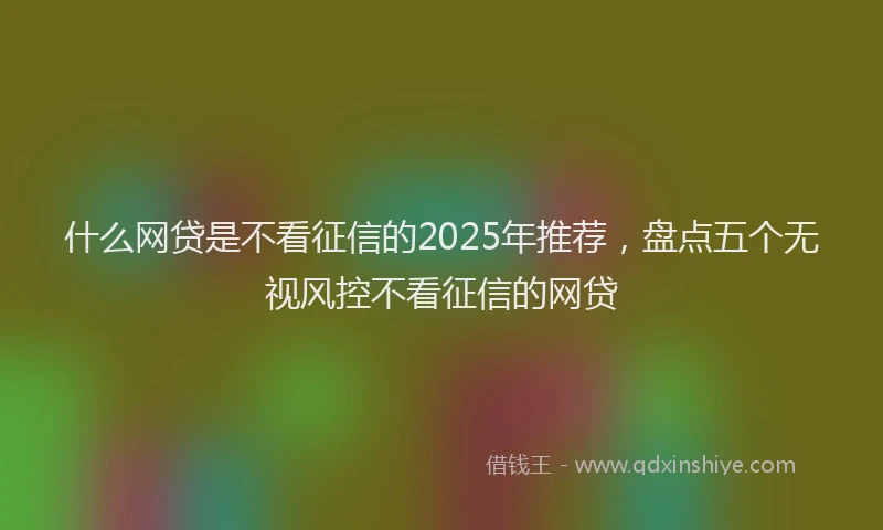 什么网贷是不看征信的2025年推荐，盘点五个无视风控不看征信的网贷