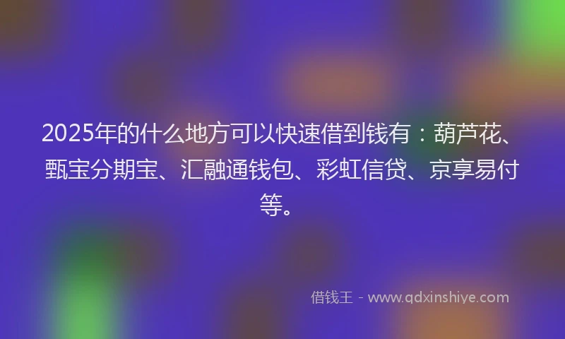 2025年的什么地方可以快速借到钱有：葫芦花、甄宝分期宝、汇融通钱包、彩虹信贷、京享易付等。
