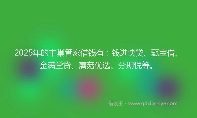 2025年的丰巢管家借钱有:钱进快贷、甄宝借、金满堂贷、蘑菇优选、分期悦等。