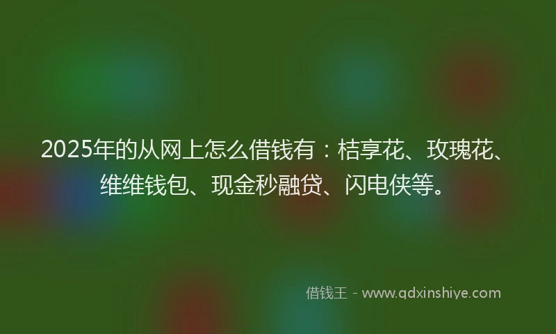 2025年的从网上怎么借钱有：桔享花、玫瑰花、维维钱包、现金秒融贷、闪电侠等。
